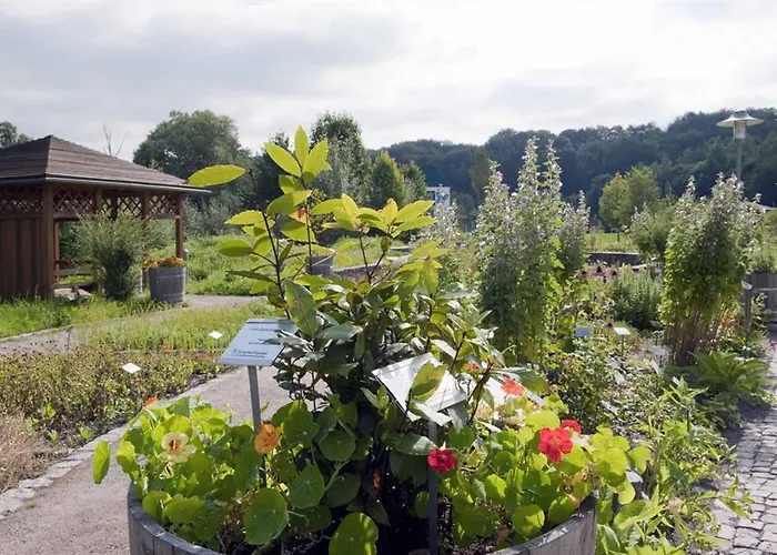 فندق Rehaklinik *