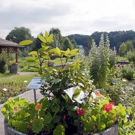 Hotel Thermalbad Wiesenbad *